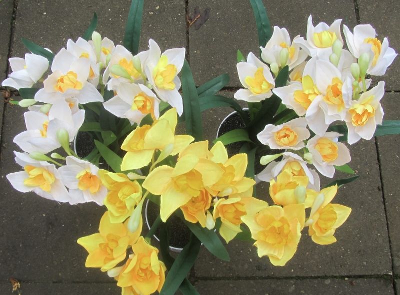 NARCISSEN KUNST IN POTJE - LENTE - VOORJAAR