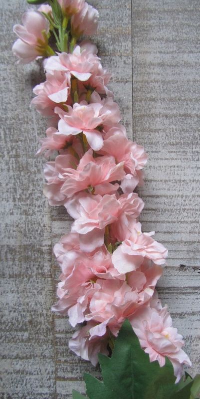 RIDDERSPOOR - KUNST - ROZE