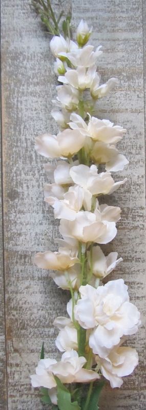 RIDDERSPOOR - KUNST - ROOMWIT