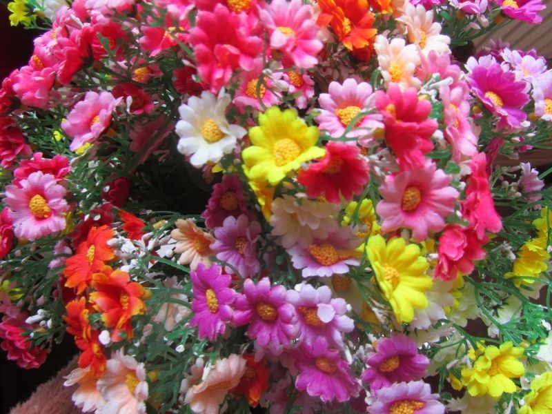 BOEKETJE - KUNST - ORANJE ROOD  ZALM