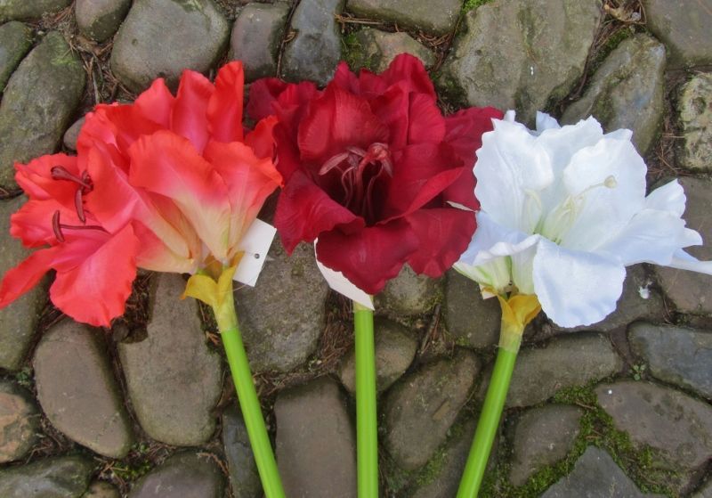 AMARYLLIS - KUNST TAK - ORANJE ROODACHTIG