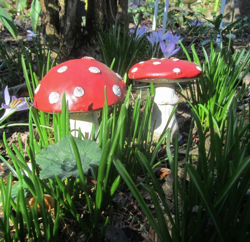 PADDENSTOELTJES OP STEKERTJE - ROOD MET WITTE STIPPEN (2)