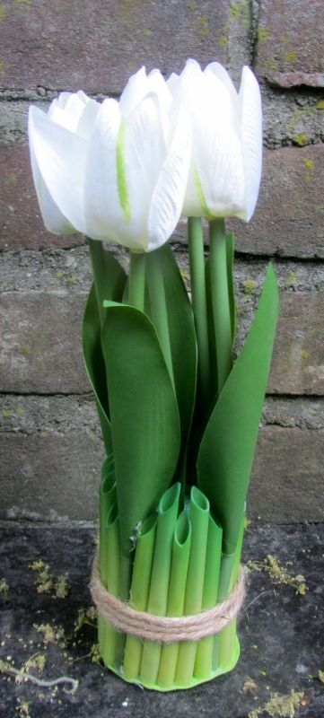 TULPJES - WIT
