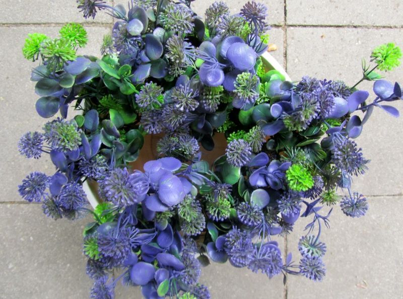 BOSJE DISTEL - PAARS - GROEN