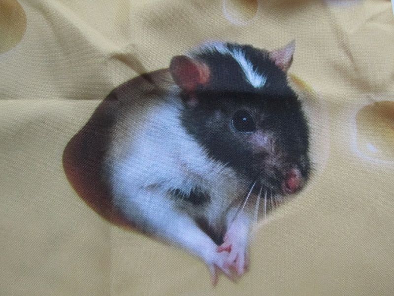 TASJE - MUISJE IN KAAS