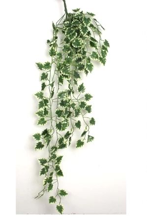 KLIMOP - KUNST - HANGING GARDEN