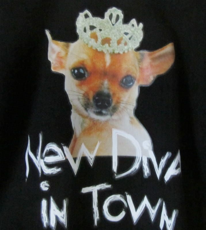 OPRUIMING - NEW DIVA IN TOWN - SHIRT - MT 62/68 - NU 4,50