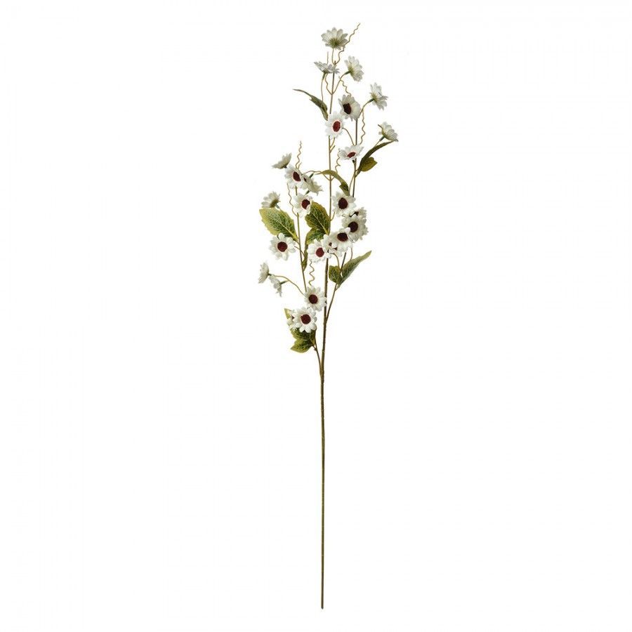 BLOEMEN TAKKEN - CLAYRE & EEF - WIT