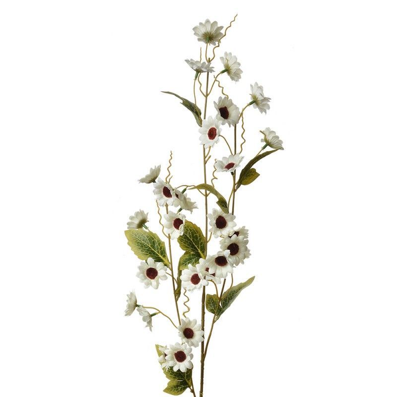 BLOEMEN TAKKEN - CLAYRE & EEF - WIT