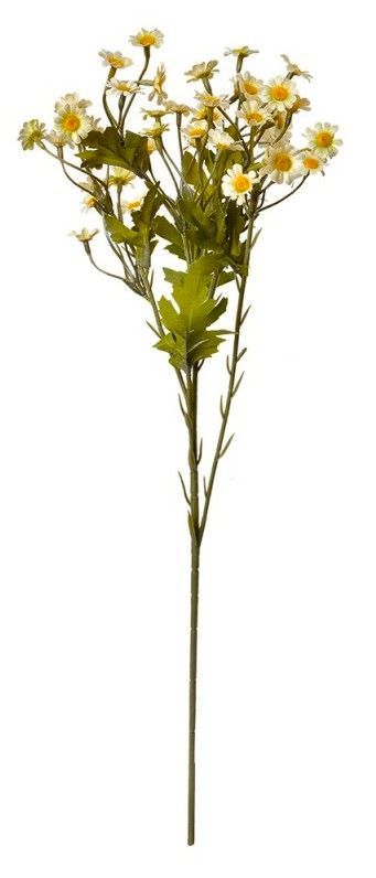 CLAYRE & EEF - KUNST KAMILLE