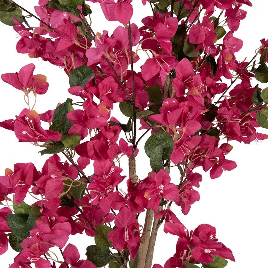 BOUGAINVILLEA BOOMPJE - KUNST - CLAYRE & EEF