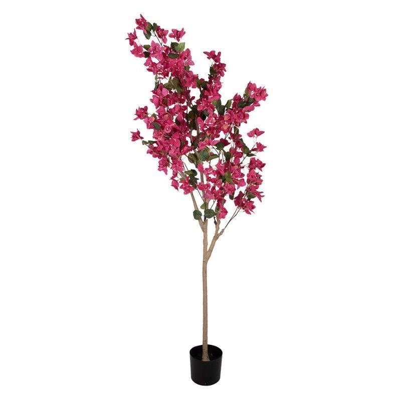 BOUGAINVILLEA BOOMPJE - KUNST - CLAYRE & EEF