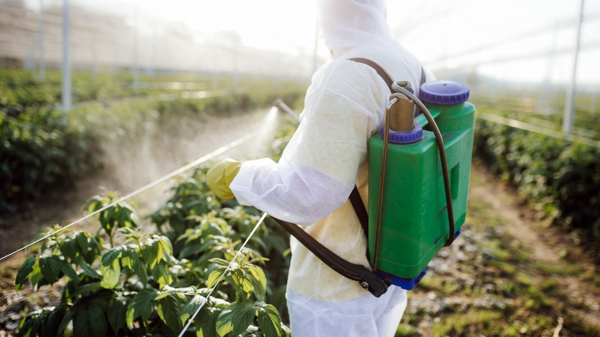 aziende agroalimentari