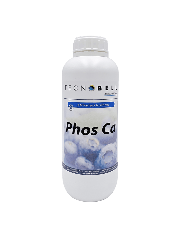 Induttore di resistenza con calcio Induttore di resistenza con calcio