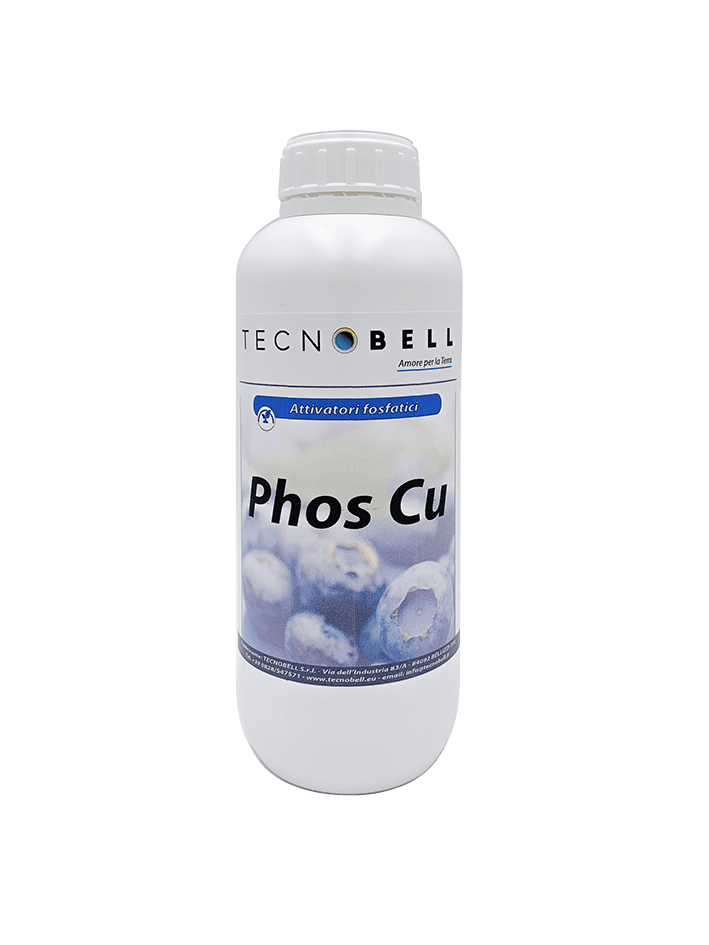 Induttore di resistenza con rame Induttore di resistenza con rame