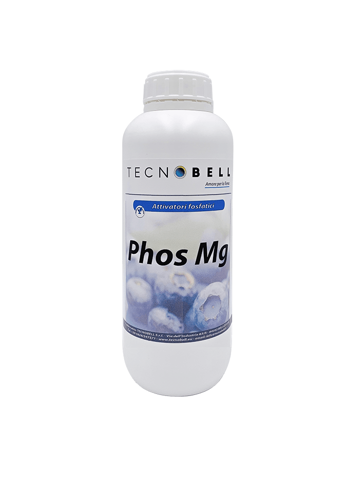 Induttore di resistenza con magnesio Induttore di resistenza con magnesio