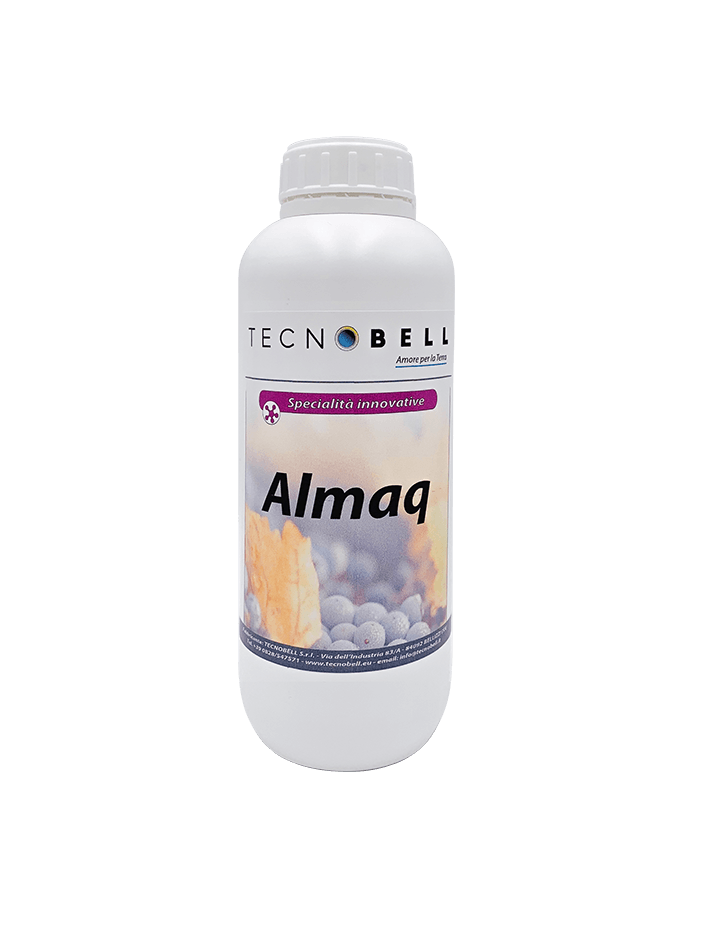 Induttore di resistenza Induttore di resistenza