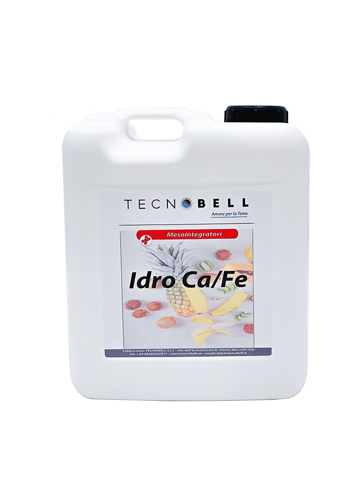 Combinazione di calcio e ferro Combinazione di calcio e ferro