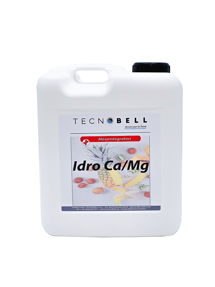 Calcio e magnesio Calcio e magnesio