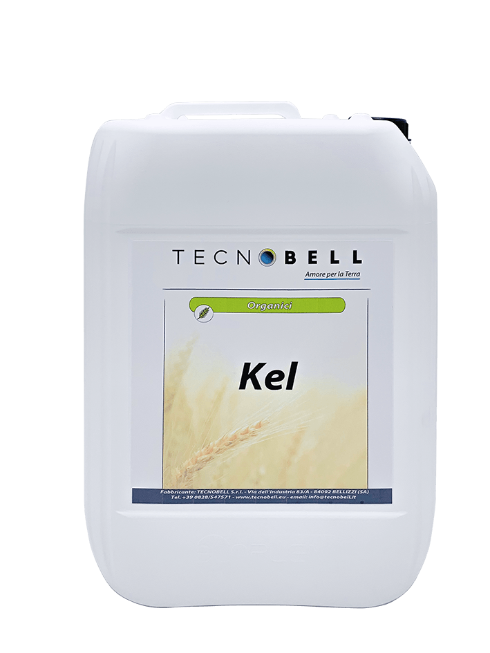 Ammendante con estratti vegetali Ammendante con estratti vegetali