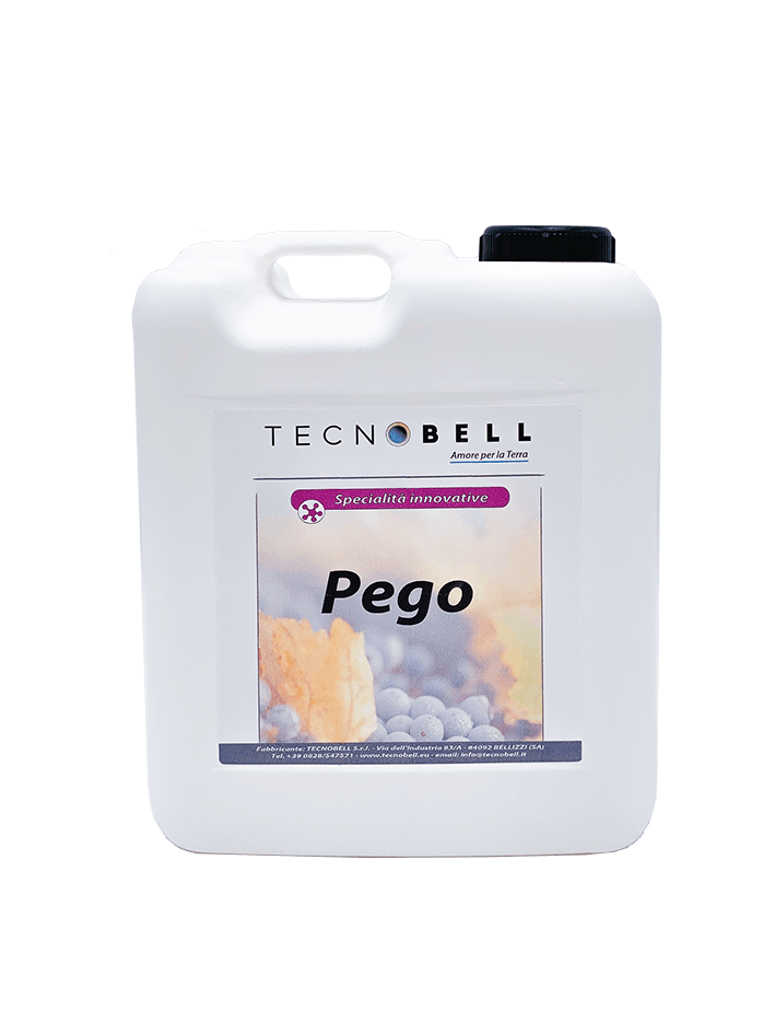 Promotore dell'allegagione Promotore dell'allegagione