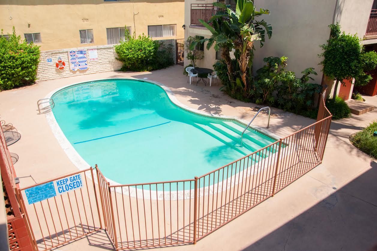 Pool in an apartment complex with brown fence, turquoise water, and a dog standing on the deck.