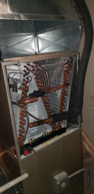 The inside of a refrigerator with a lot of wires coming out of it.