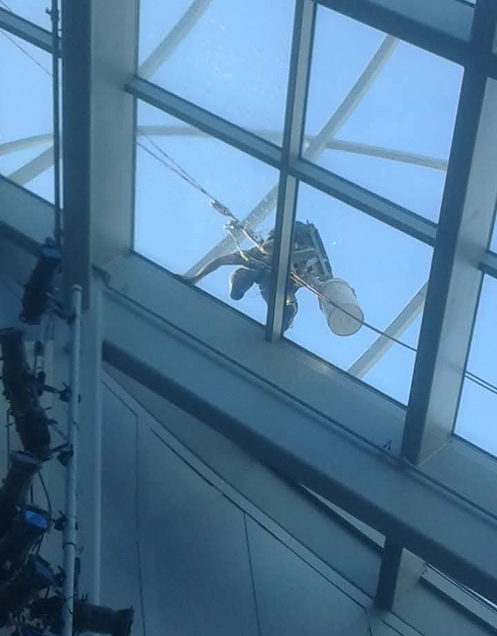 Window cleaner suspended from a glass ceiling, cleaning panes with a bucket and squeegee.