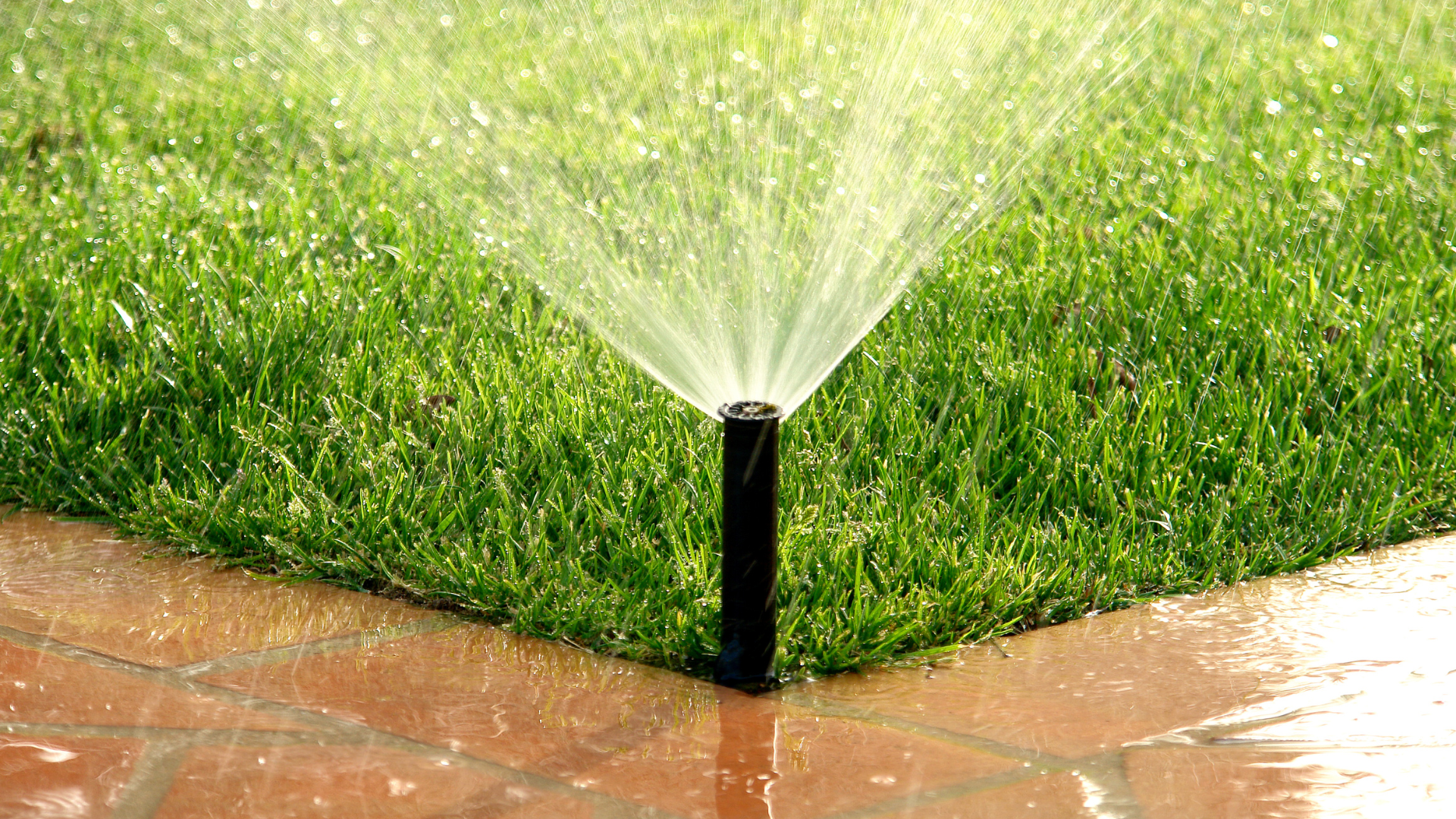 Green lawn bordered by a beige concrete edge, leading to a rock garden with bushes and gravel.