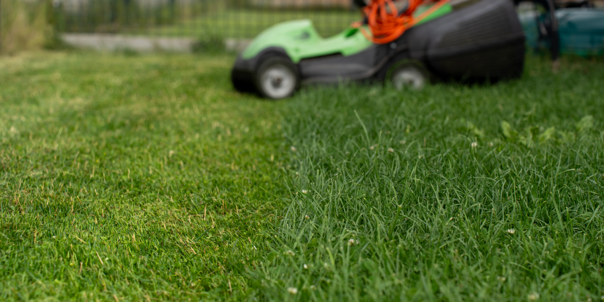 Close-up of grass growing in square concrete pavers.