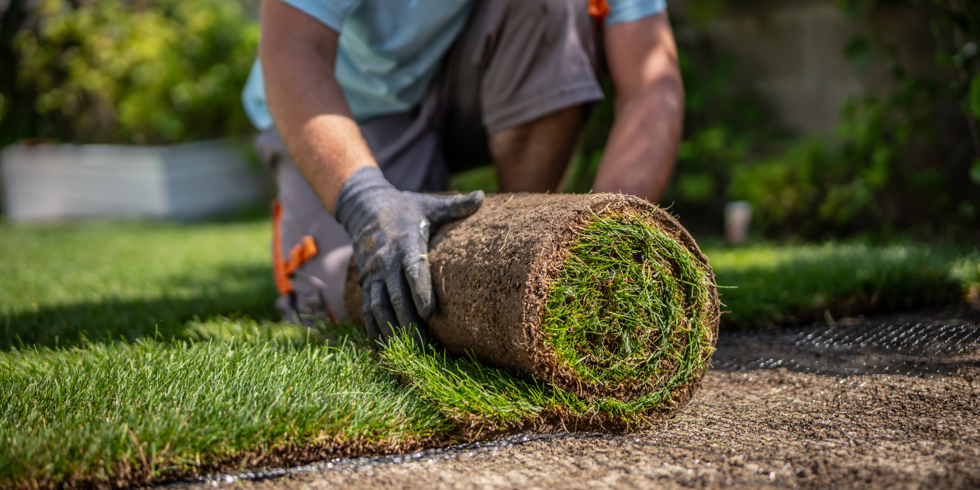 Green lawn bordered by a beige concrete edge, leading to a rock garden with bushes and gravel.