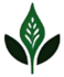 Green leaf symbol with two darker leaves, representing growth or nature.