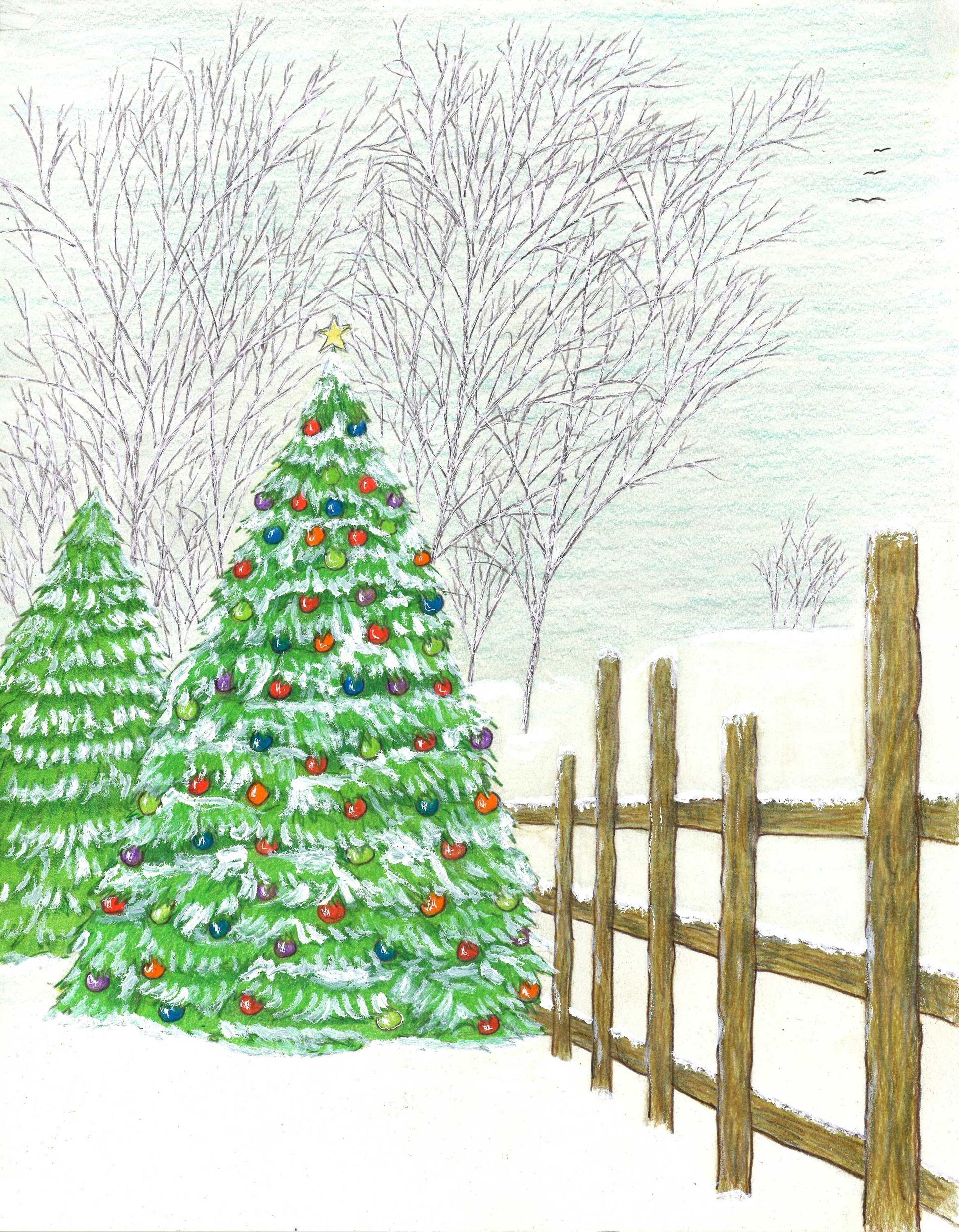 Two decorated Christmas trees stand in a snowy yard next to a wooden fence with leafless trees in the background.