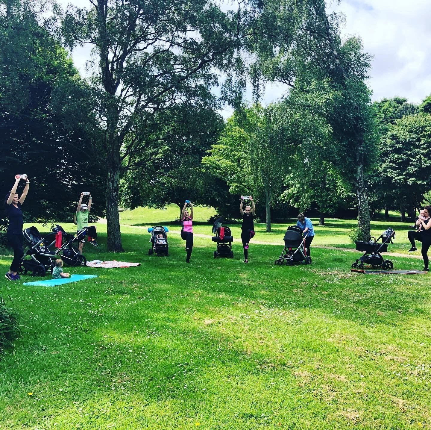 A group of people are doing yoga in a park.