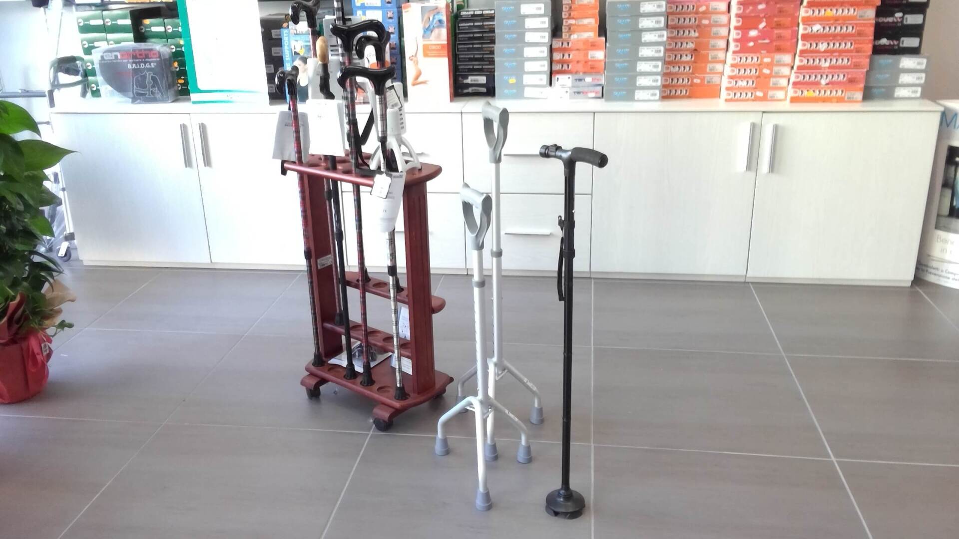 Bastoni da passeggio