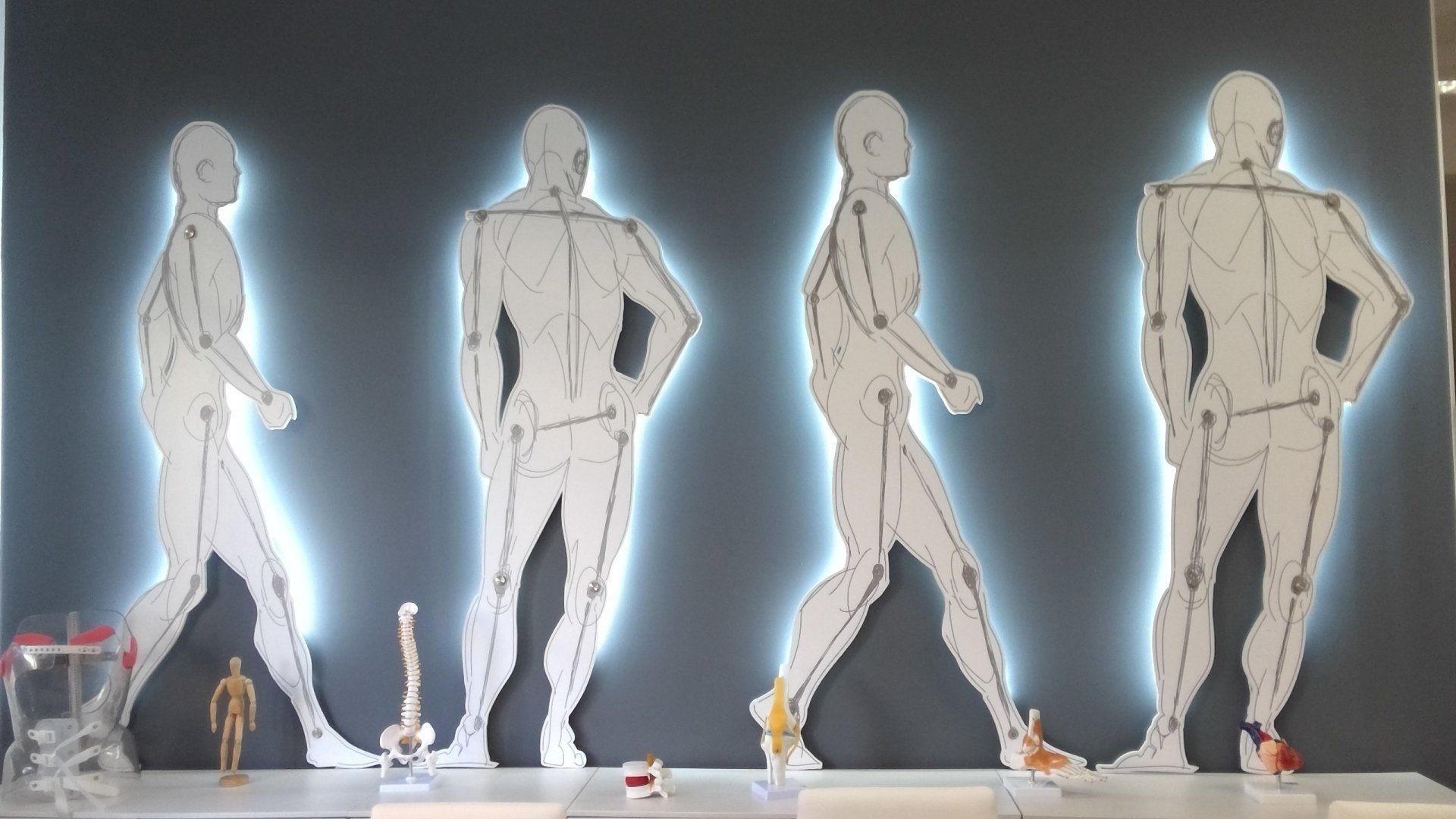 Rappresentazione corpo umano con luci