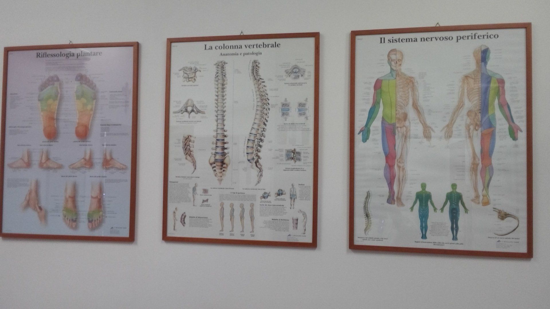 Rappresentazione corpo umano