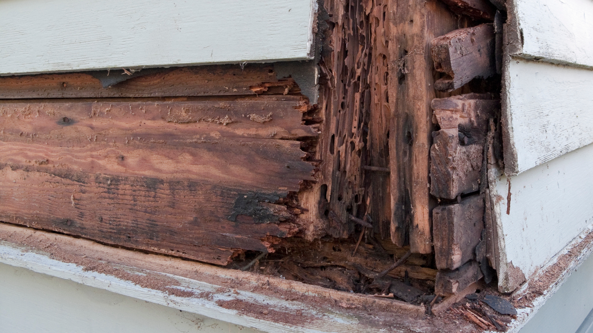 exterior-wood-rot
