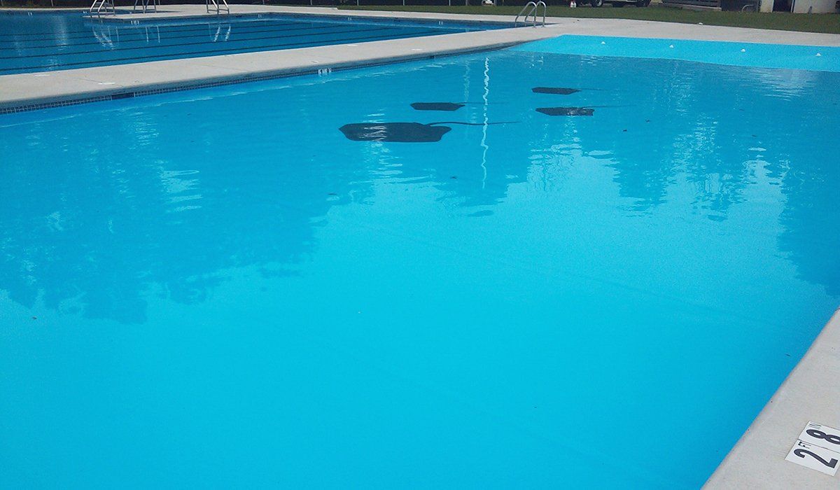 Community Pool Construction