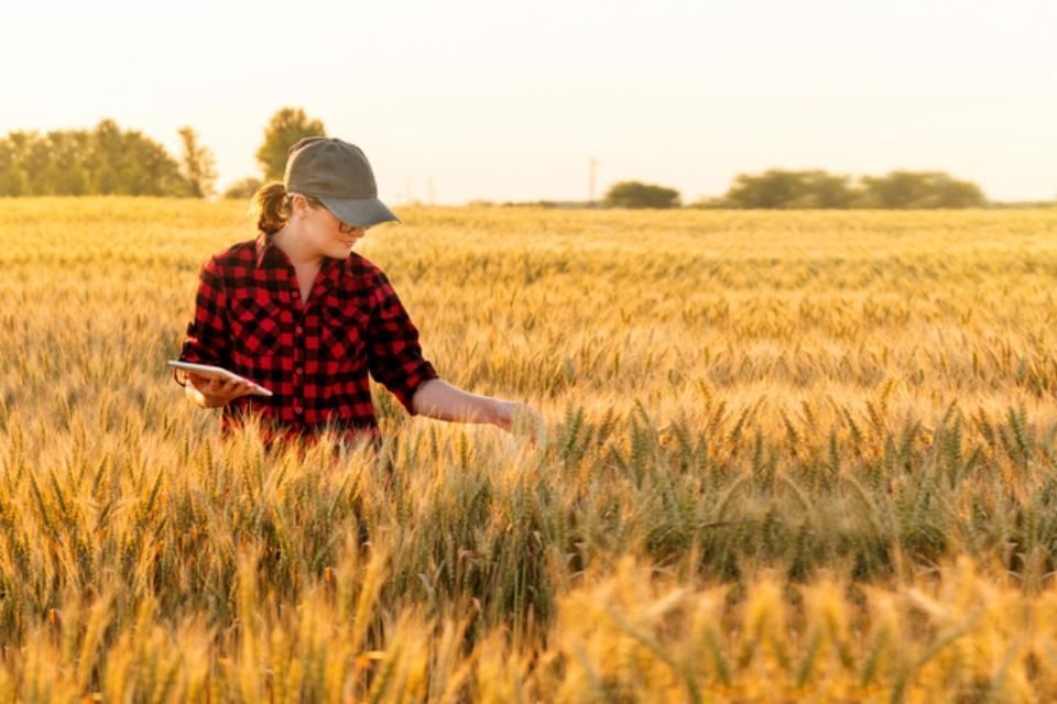 Agricultural  expert
