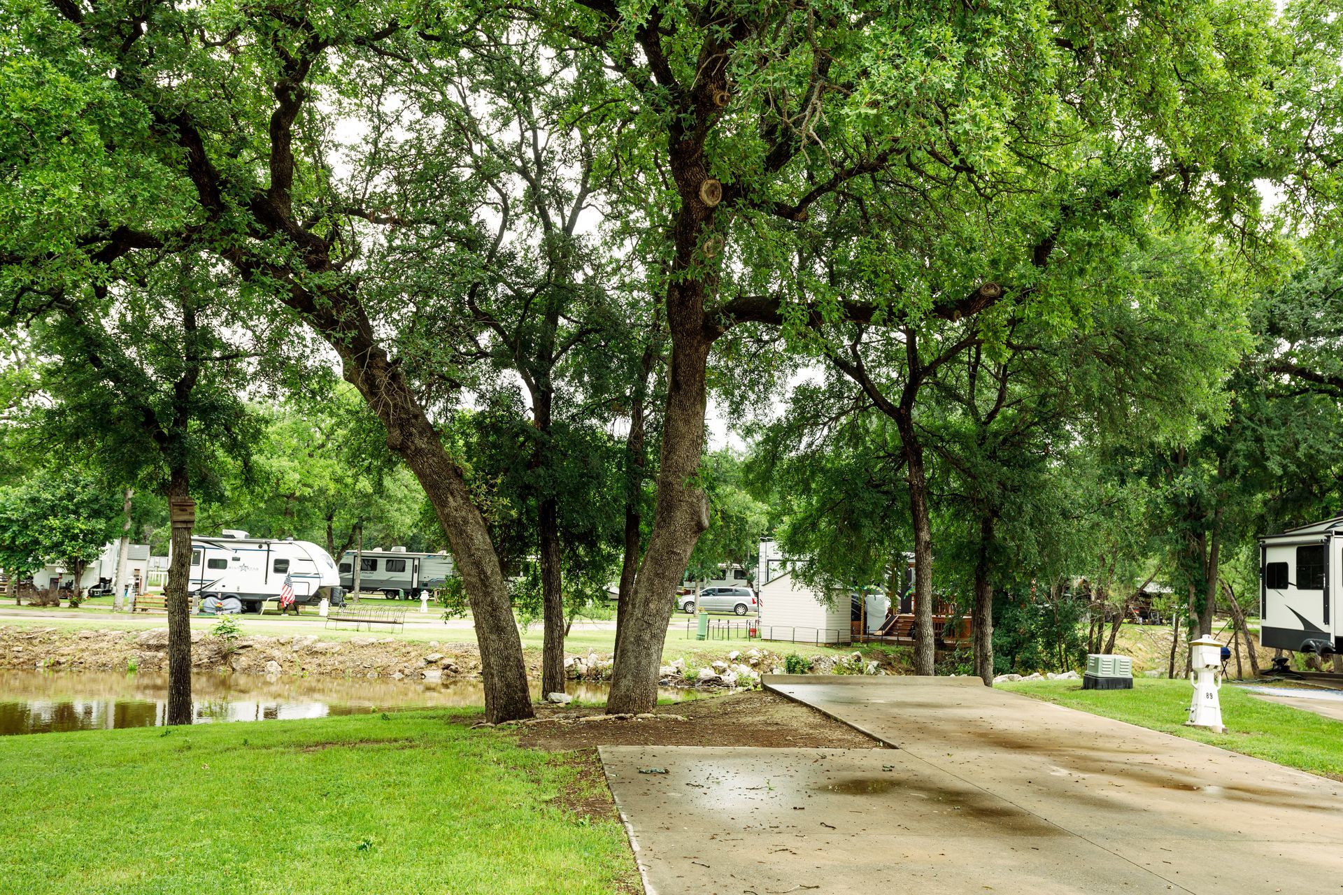 A row of trees along a dirt road in a park.