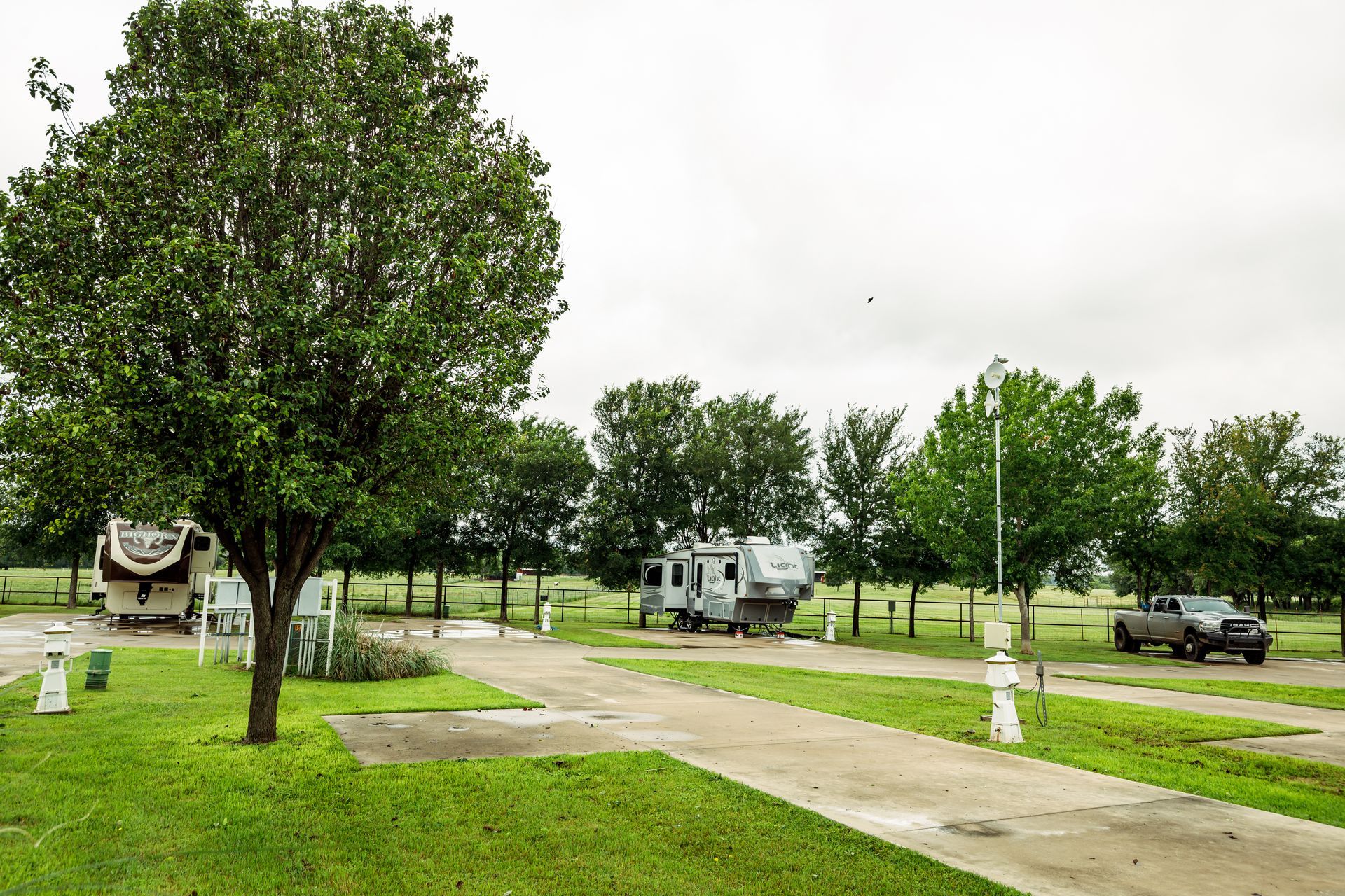 A rv is parked in a grassy field next to a tree.