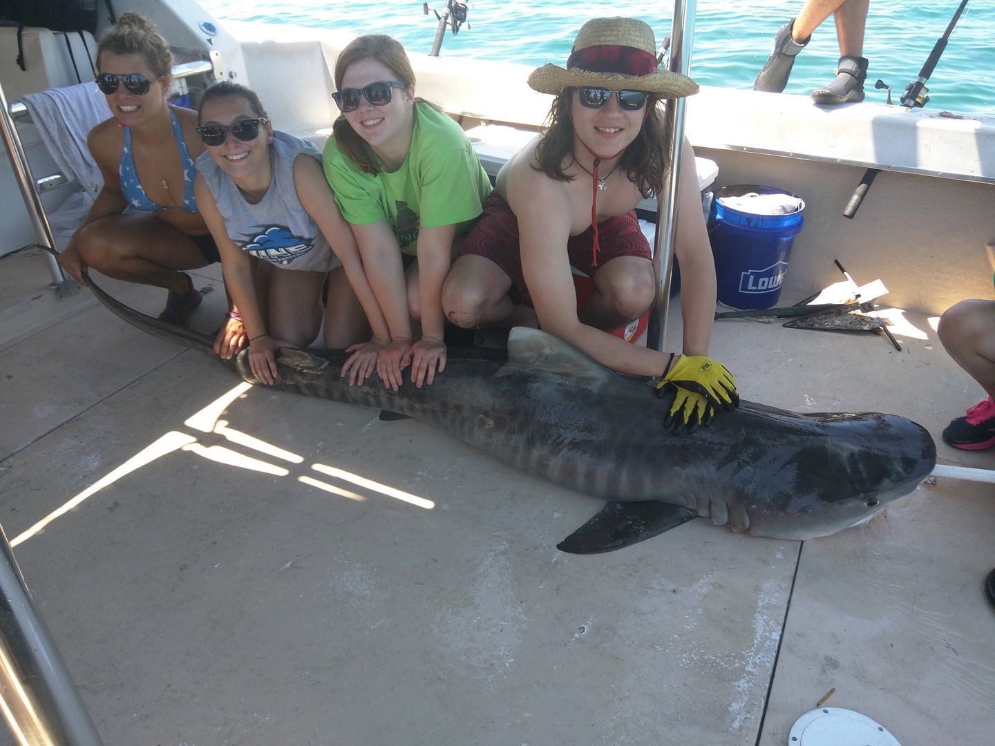Group of Girls Holding a Shark — Clearwater, FL — Coastal Marine Education and Research Academy