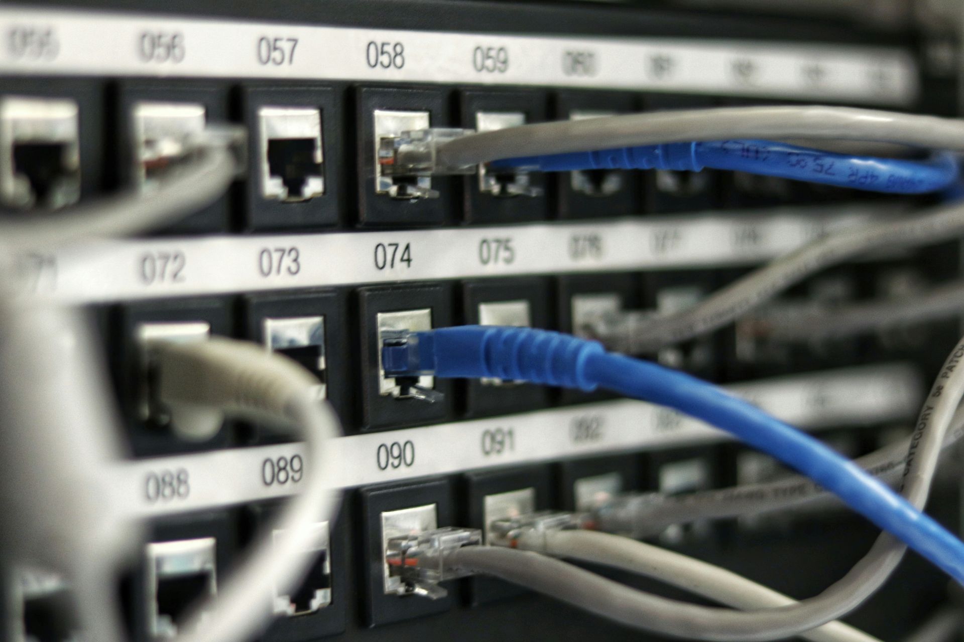 Network switch with Ethernet cables plugged into numbered ports; blue and gray cables.