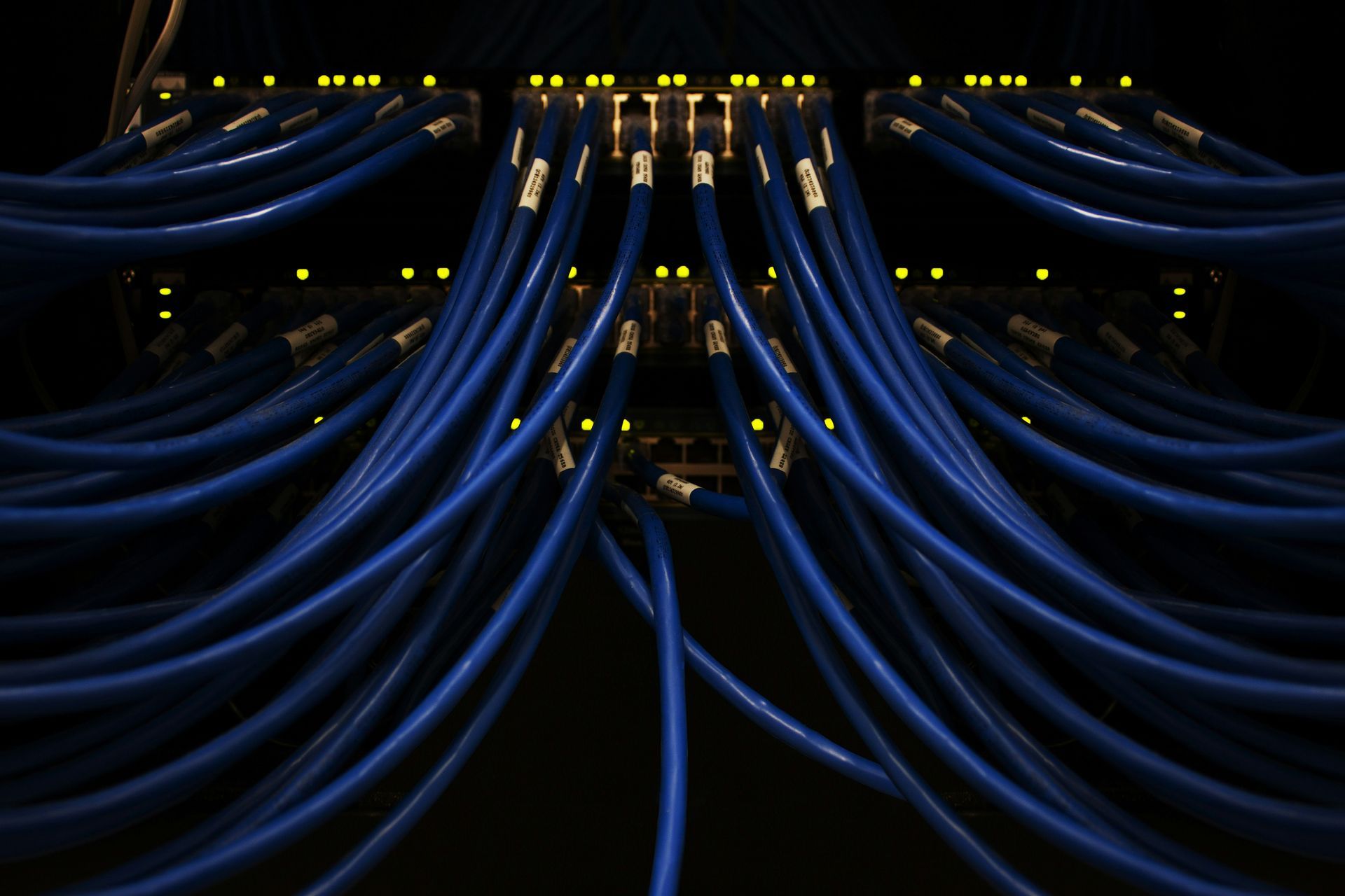 Blue network cables connected to a server in a dark room.