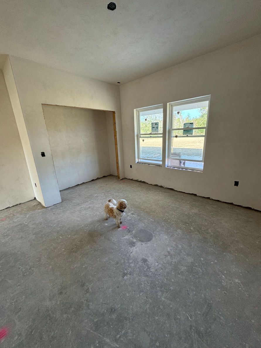 A small dog in a room under construction with windows. Gray walls and floor, beige walls.