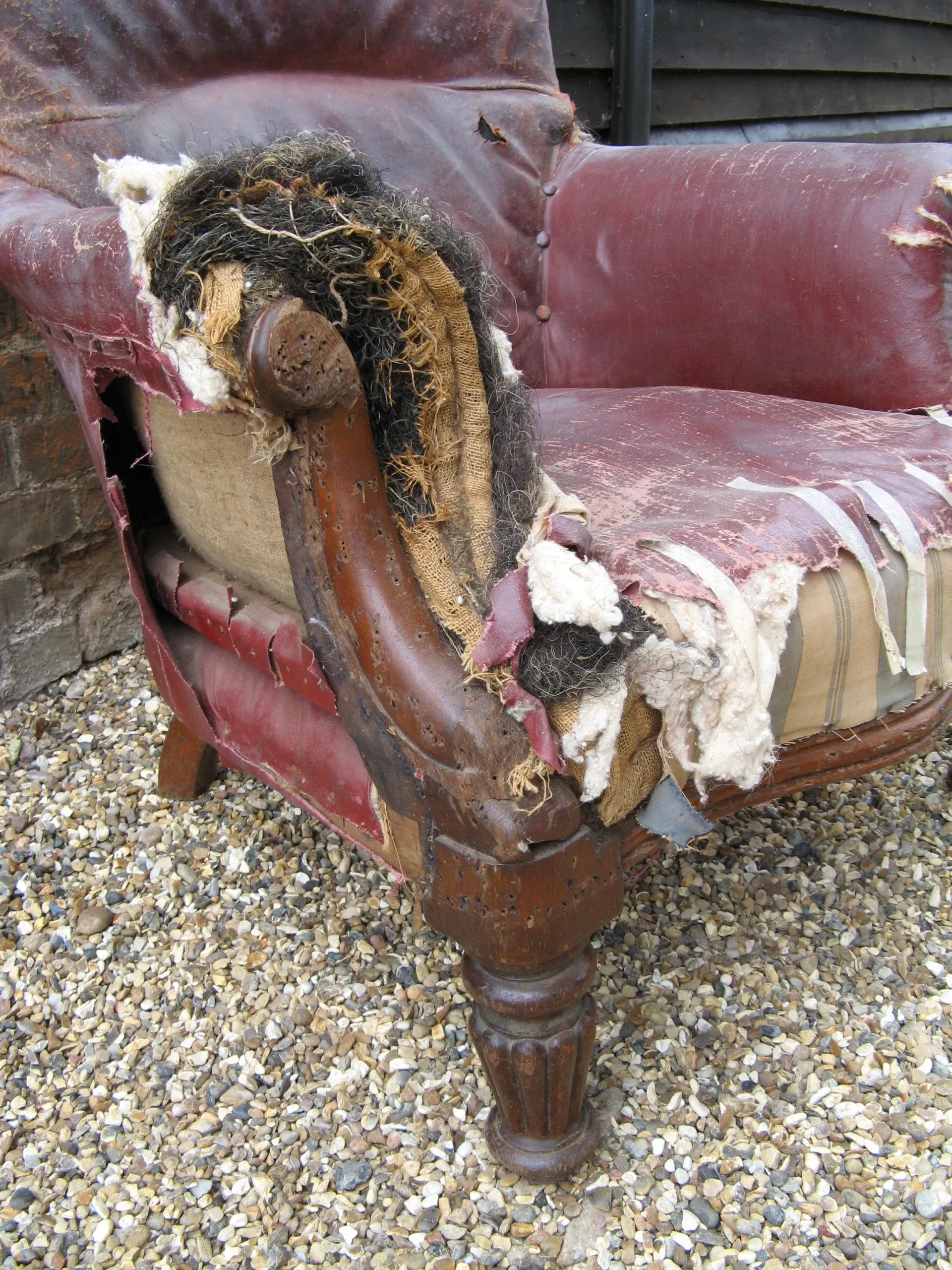 A very large mid Victorian oak framed gentleman's spoon back armchair with bags of potential. 3