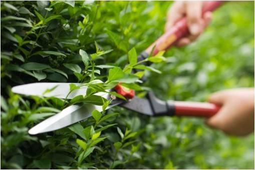 Construcciones Guzmán