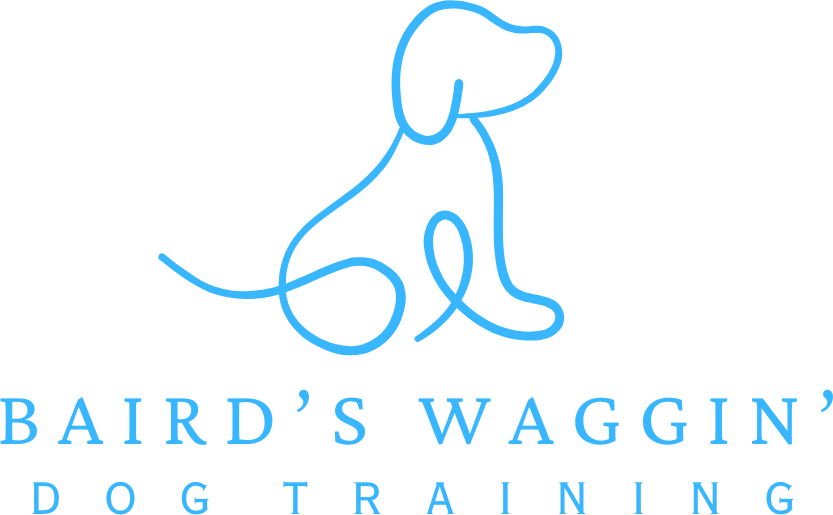 Bairds Waggin Dog Training Bairds Waggin Dog Training