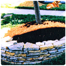 Dry Stack Wall, Hardscape Services in Durham, NC